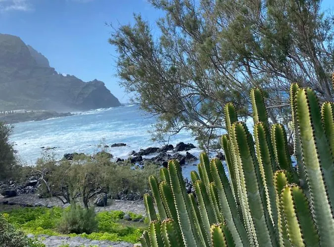 Campingplads Exclusiv Luxury Camping In Brand New Vw Grand California 600 Tenerife Is In Your Hands Santa Cruz de Tenerife
